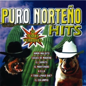 Enigma Norteño – Puro Norteño Hits – 20 Temas Perrones